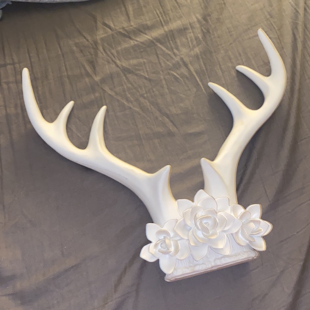 Antler wall decor